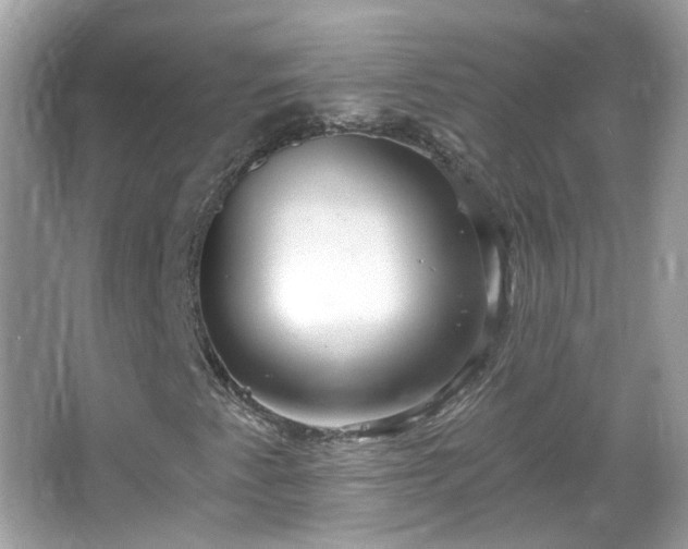 X0000066931345200603271100