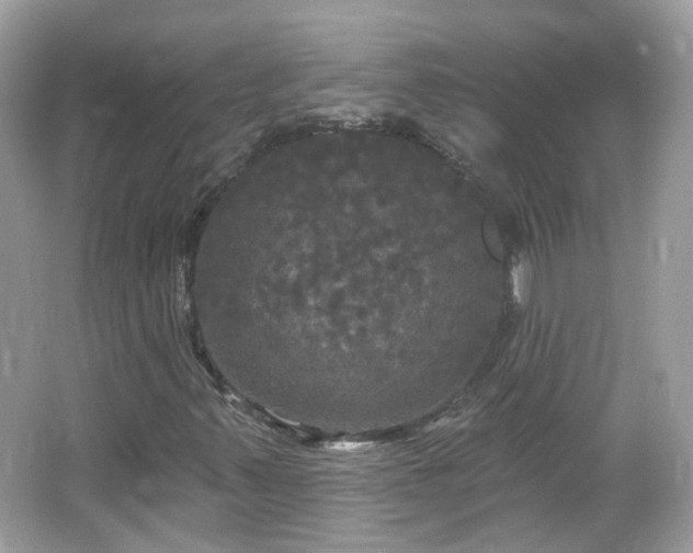 X0000066931347200603271100