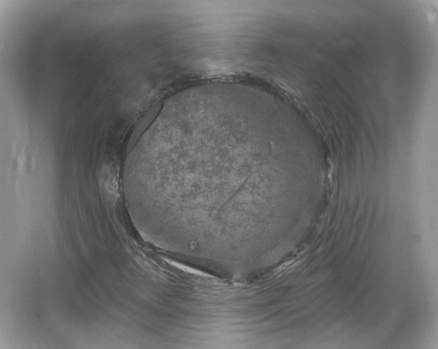 X0000066931348200603271100
