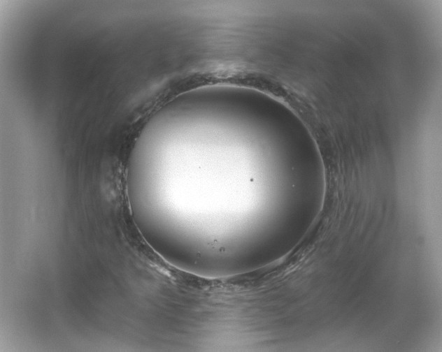 X0000066931349200603271100