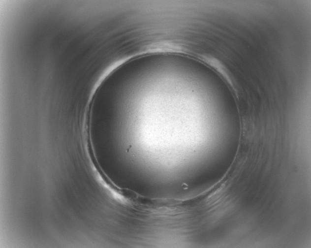 X0000066931387200603271100