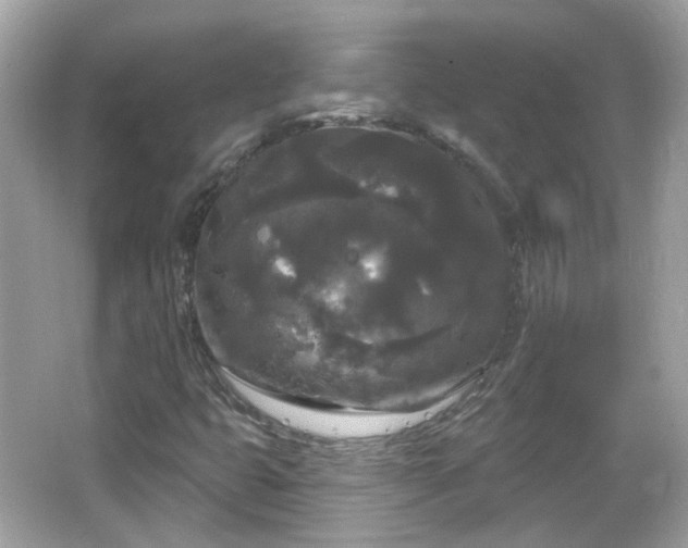 X0000066931399200603271059