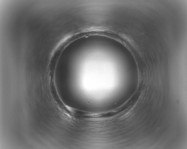 X0000066931406200603271059