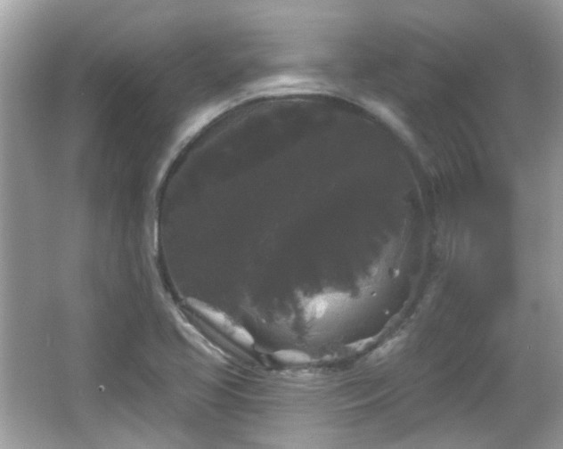 X0000066931413200603271059