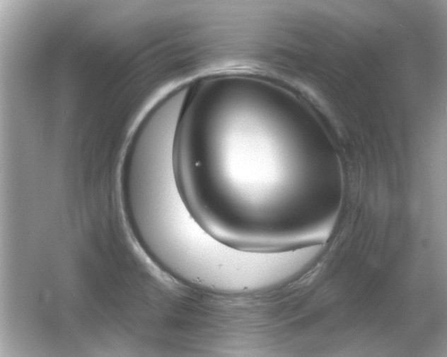 X0000066931422200603271059