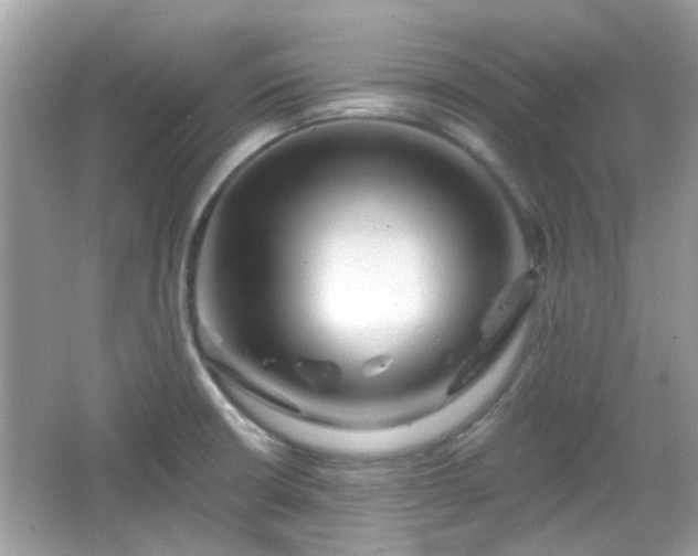 X0000066931426200603271059