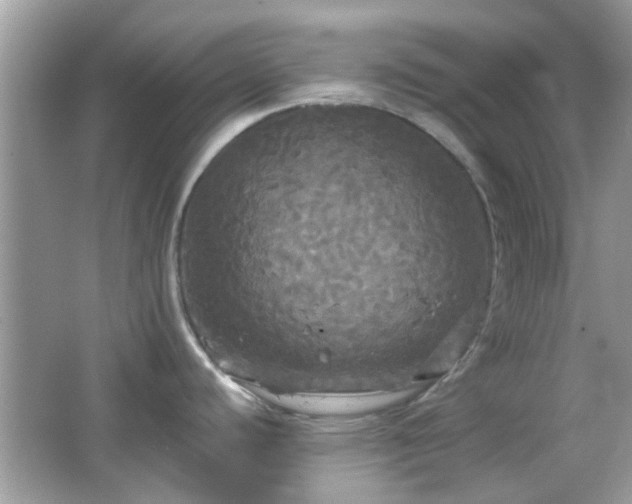 X0000066931440200603271100