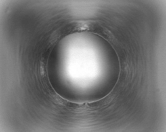 X0000066931442200603271059