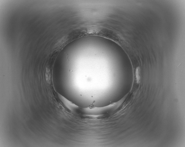X0000066931443200603271059