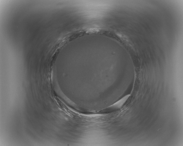 X0000066931445200603271059