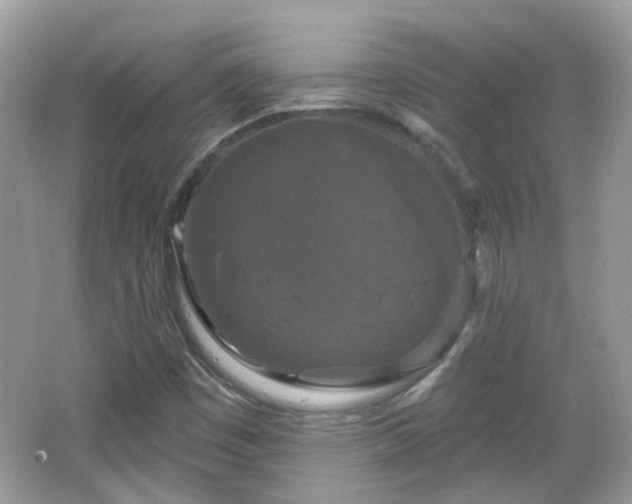 X0000066931449200603271059