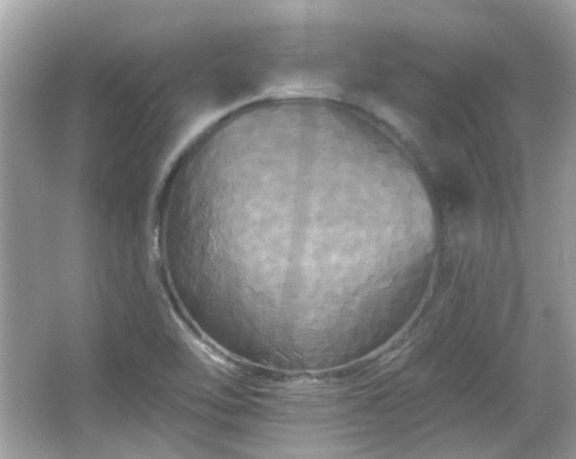 X0000066931462200603271059