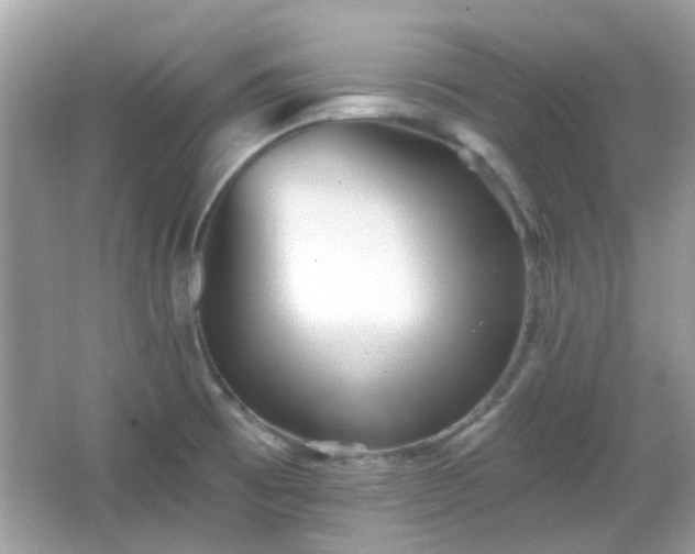 X0000066931473200603271058