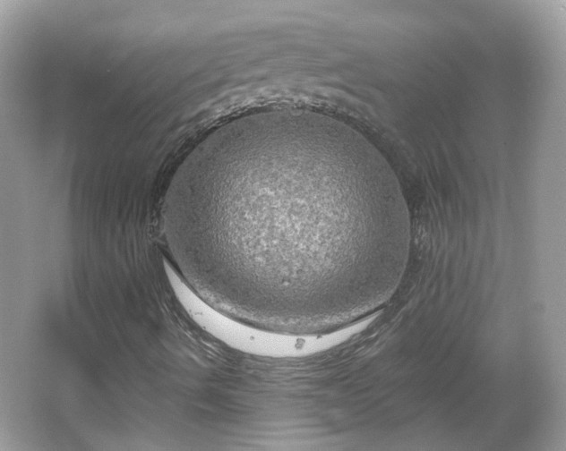 X0000066931490200603271057