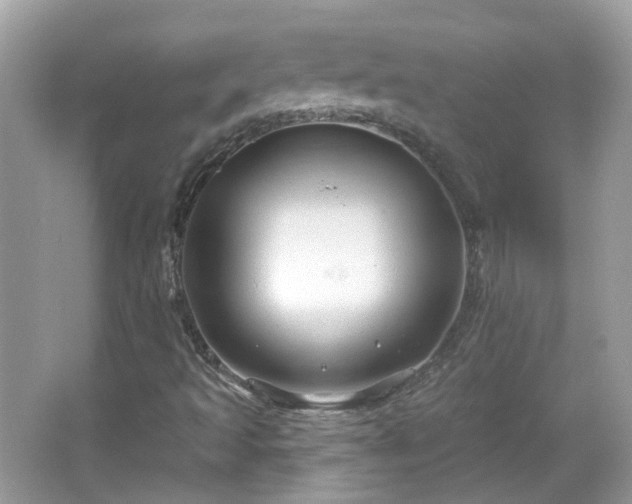 X0000066931493200603271057