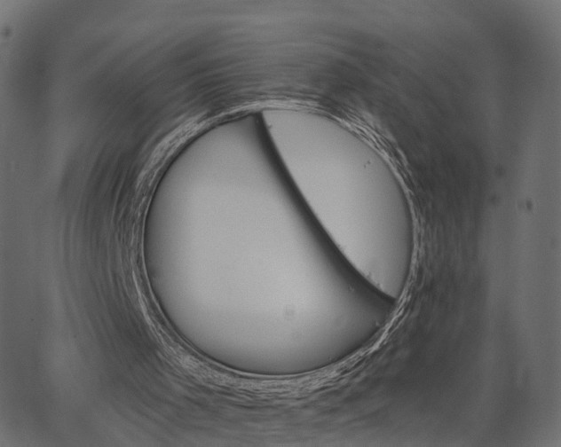 X0000066930001200603311404