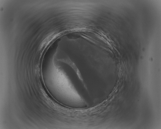 X0000066930002200603311403