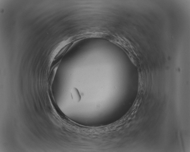 X0000066930003200603311403