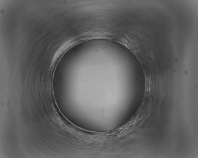 X0000066930004200603311403