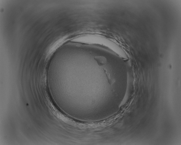 X0000066930005200603311403