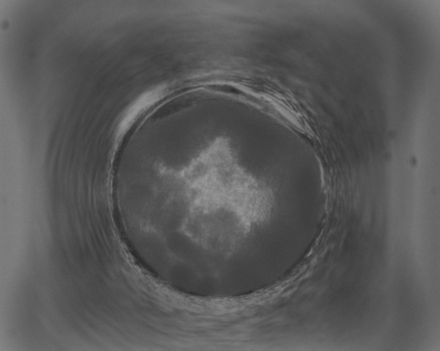 X0000066930006200603311403