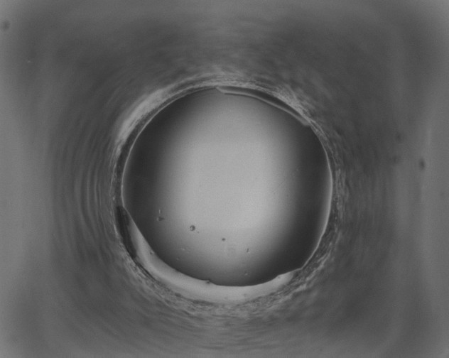 X0000066930007200603311403