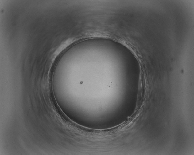 X0000066930008200603311403