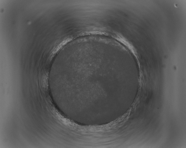 X0000066930009200603311403