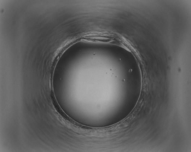 X0000066930011200603311403