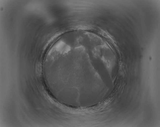 X0000066930012200603311403