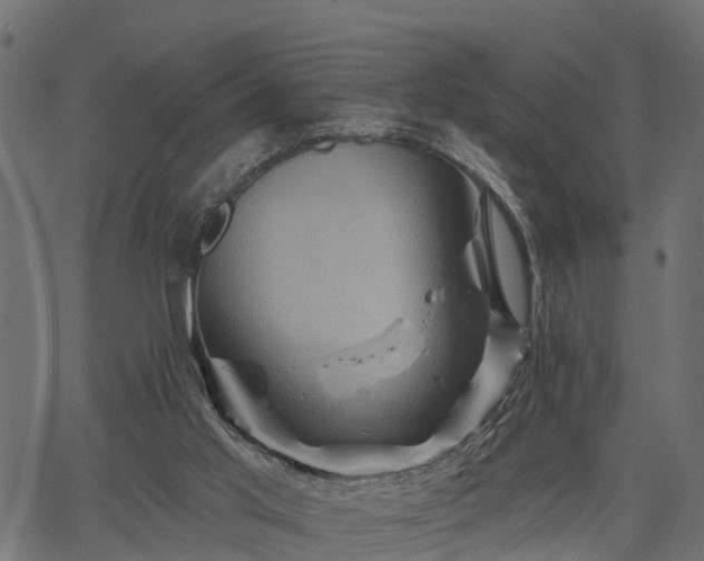 X0000066930013200603311403