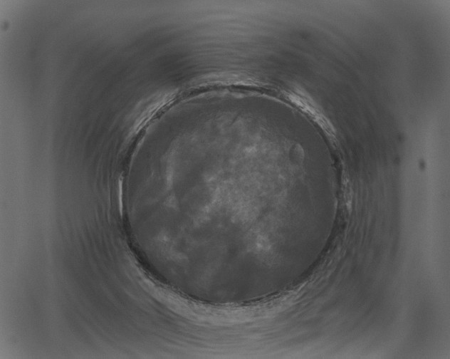 X0000066930014200603311403