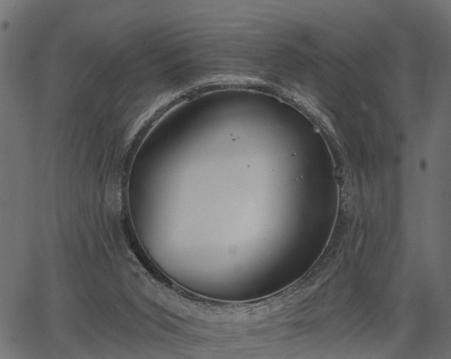 X0000066930015200603311403