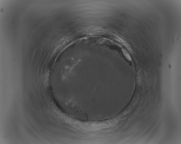 X0000066930018200603311403