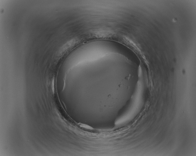 X0000066930019200603311403