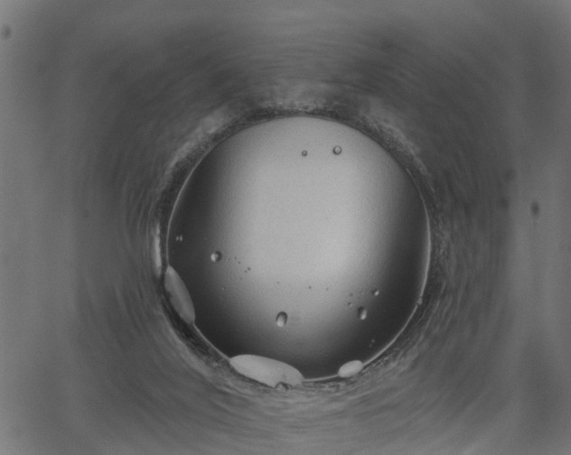 X0000066930020200603311403