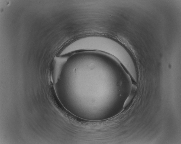 X0000066930021200603311403