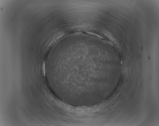 X0000066930022200603311403