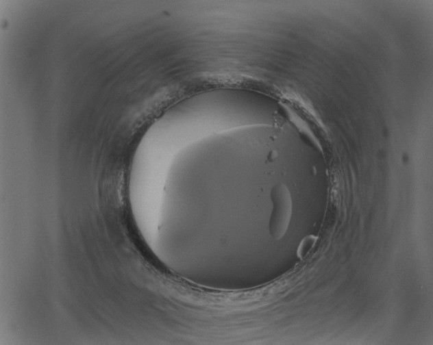 X0000066930023200603311403