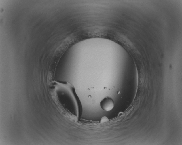 X0000066930025200603311403