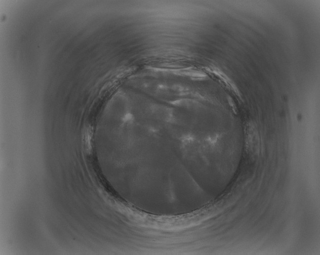 X0000066930026200603311403