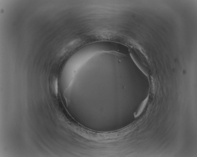 X0000066930027200603311403