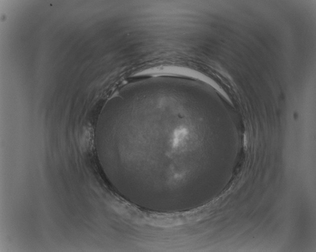 X0000066930029200603311403