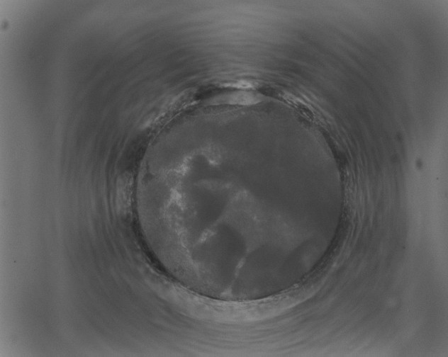 X0000066930030200603311403