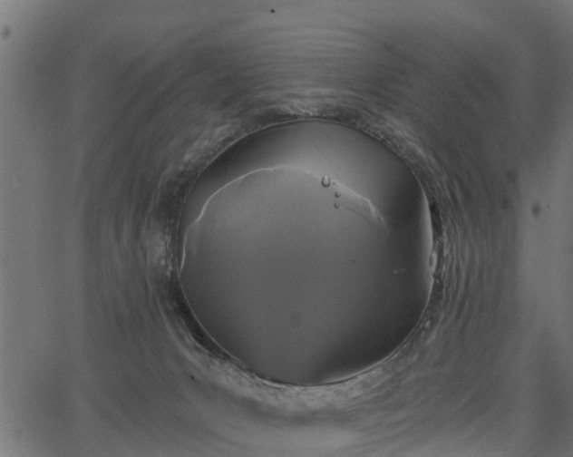 X0000066930031200603311403