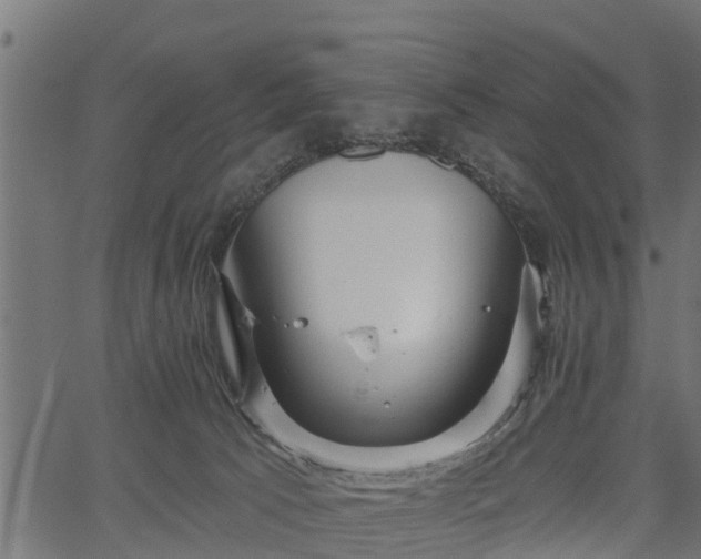 X0000066930033200603311403