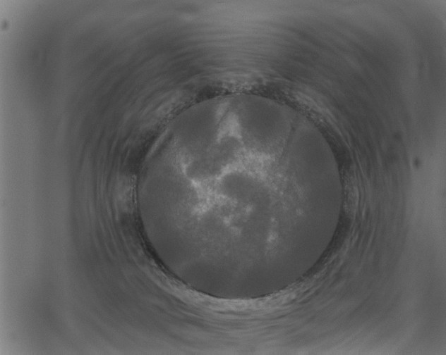 X0000066930034200603311403