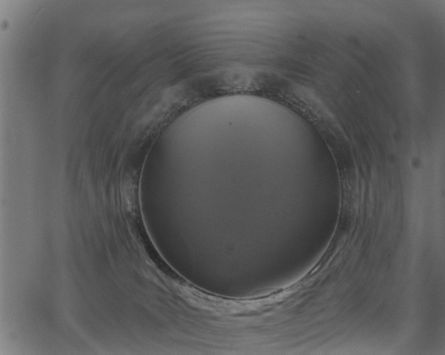 X0000066930035200603311403