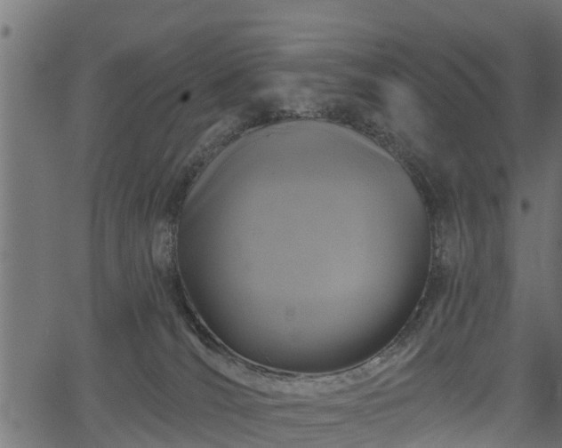 X0000066930036200603311403