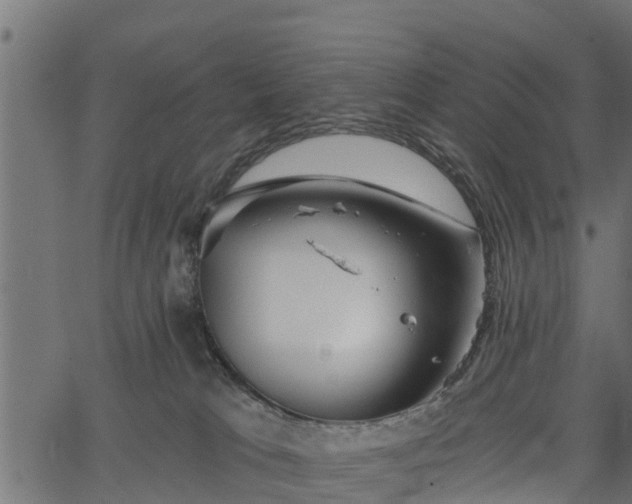 X0000066930037200603311403